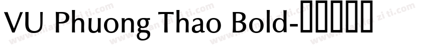 VU Phuong Thao Bold字体转换